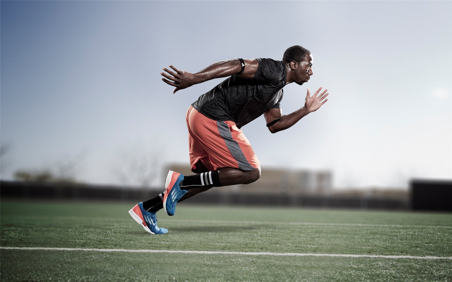 “美洲狮队打破纪录,力争橄榄球锦标赛冠军”